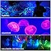 WELKEY PLUS 2 Pack 80W UV LED Black Light Flood Light with Plug(6ft Cable), IP66 Waterproof, for Blacklight Party, Stage Lighting, Aquarium, Body Paint, Fluorescent Poster, Neon Glow, Glow in The Dark