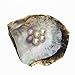 Nameo 5 Pcs Akoya Oysters with Round Cultured Pearls Inside (7-8mm)