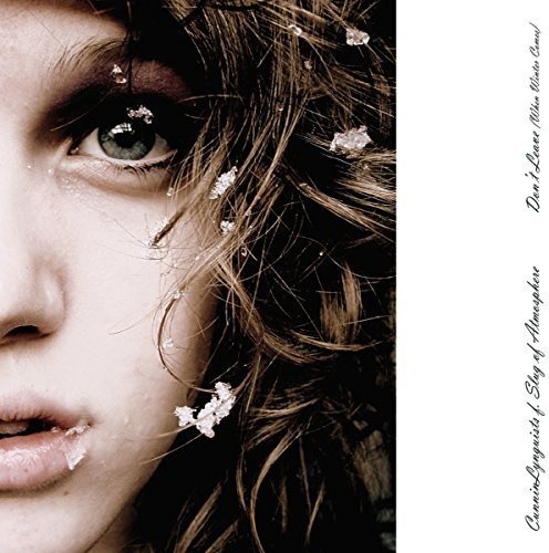 Cunninlynguists - Don