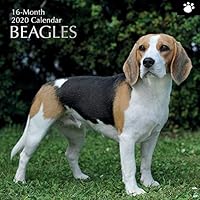 The Gifted Stationery 2020 Wall Calendar - Beagles Design