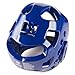 MOOTO WTF Approved Taekwondo Head Gear 3color S to XL (Blue, 2.M)