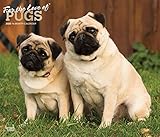 For the Love of Pugs 2020 14 x 12 Inch Monthly Deluxe Wall Calendar with Foil Stamped Cover, Animals by 