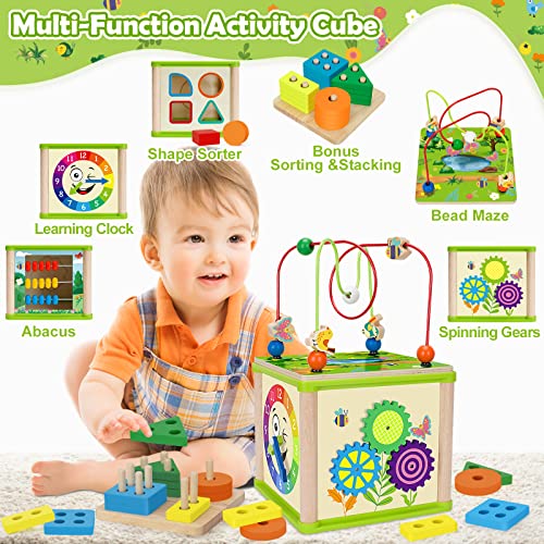 Montessori Developmental Toys for 1 Year old Boys & Girls,6in1Wooden