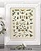 Insects Collection Entomology Illustration 11x14 Unframed Print – Bug & Insect Artwork, Scientific Insect Chart, Biology Classroom Decor, great for Office, Classroom, Farmhouse & Bug Lover Gifts