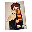HMP Passport Cover For Man And Woman - Eco Leather Passport Holder - Passpot Wallet (Harry Potter)