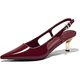 Coutgo Womens Low Kitten Heels Slingback Pumps Closed Pointed Toe Buckle Party Work Dress Shoes