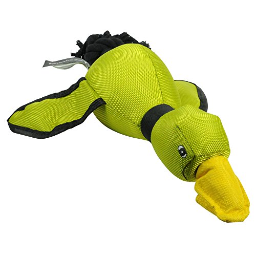 Hyper Pet Flying Duck Slingshot Dog Toy Buy Online in UAE. Misc