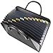 C-Line Expanding File with Handles, Letter Size, Black (48211)