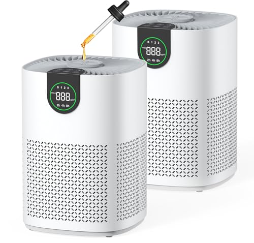 VEWIOR Air Purifier