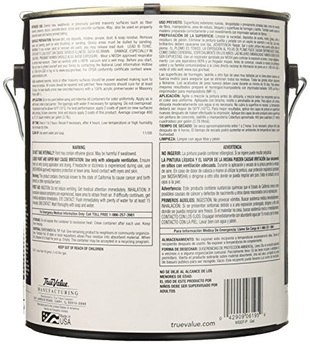 True Value MSEFP-GL 1-Gallon Pastel Base Stucco Paint