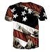 RXBC2011 Men's American Flag Eagle 3D Printed T-shirt USM Black