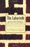 The Labyrinth: Memoirs Of Walter Schellenberg, Hitler's Chief Of Counterintelligence by Walter Schellenberg, Louis Hagen