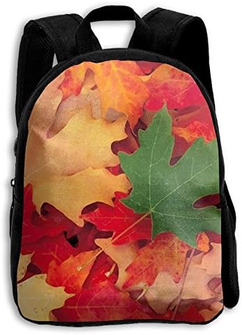 Boys Girls Colorful Autumn Foliage Popular Printing Toddler Pre School Backpack Bags Lightweight