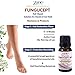 Fungucept Nail Repair Solution for Hands and Feet. Ideal for Discolored, Thickened, and Crumbled Nails. 100% Natural with Oil of Oregano. 0.33 oz. – 10 ml. by Zane Hellas