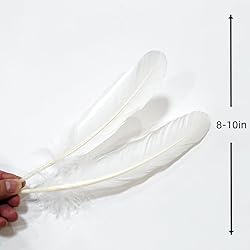 White Goose Feathers Bulk 10pcs,Natural Long 8-10