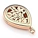 JOVIVI Stainless Steel Gold Teardrop Aromatherapy Essential Oil Diffuser Locket Necklace