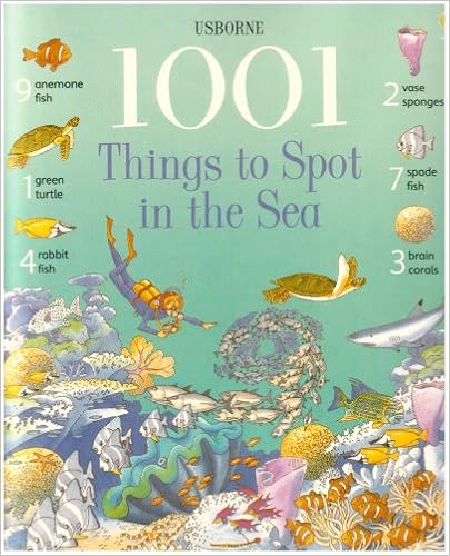 1001 Things to Spot in the Sea