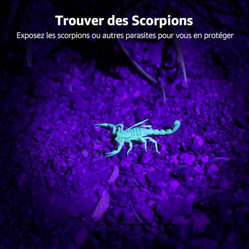 Lighting EVER Lepro UV Lamp, 395nm UV LED Black Light Ultraviolet Light, 6 AAA Batteries Included for Fluorescent Tracers Dog Cat Mat Urine Detector Scorpion Checks Money, Pack of 2