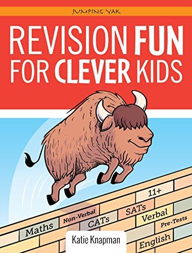 Revision Fun for Clever Kids