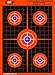 EasyShot Targets Sight-in Shooting Targets – Paper Targets with 1 x 1-inch Grid – High-Contrast Color Targets for Shootin (100, 12 X 18 inch Sight in-Orange)