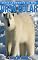 Livro Urso Polar: Fotos Incríveis e Factos Divertidos sobre Urso Polar para Crianças (Série Lembra-Te De Mim)