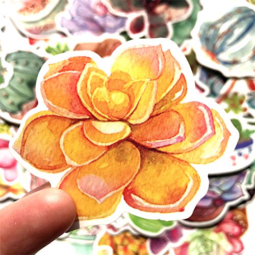 Mizzuco Vinyl Stickers Waterproof Plants Stickers 71 Pieces for Teens Girls Laptop Bumper Helmet Ipad Car Luggage Water Bottle (ZW167)