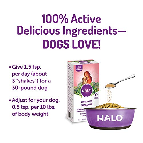 Halo-Natural-Supplements-with-Curcumin-Mushrooms-for-Dogs