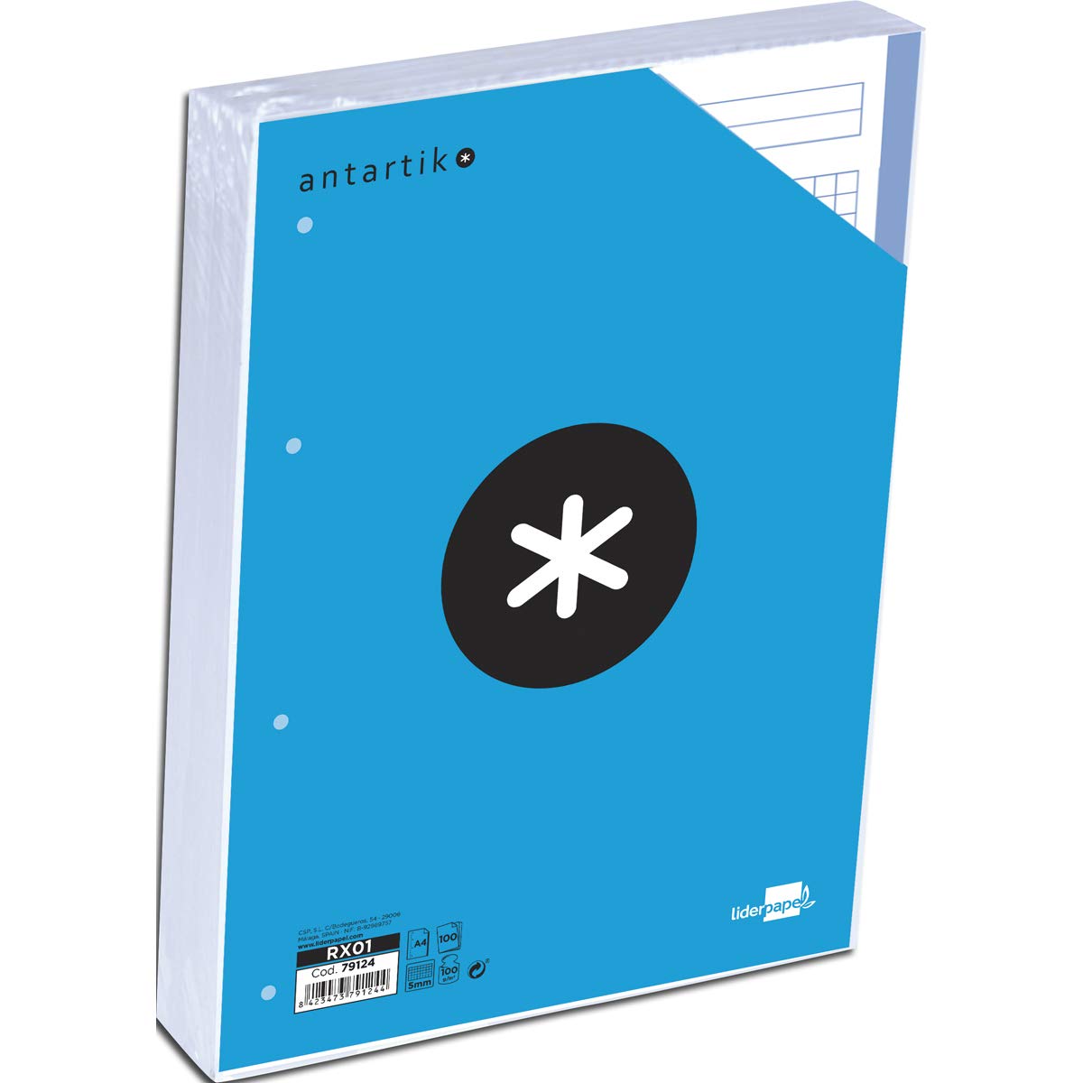 Leaderpapel A4 Refill 100 Sheets 100 g/m2 Box 5 mm 4 Holes Bands of 5 Colours Anartik