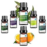 Pursonic 100% Pure Essential Aromatherapy Oils Gift Set-6 Pack , 10ML(Eucalyptus, Lavender, Lemon grass, Orange, Peppermint, Tea Tree)