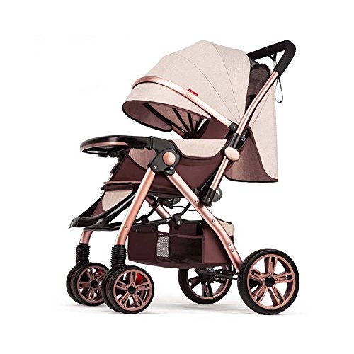 sit and stand umbrella stroller