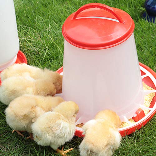 EKAY Baby Chick Feeder and Waterer Kit for Poultry Fount for Up to 12