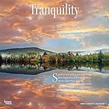 Tranquility 2020 12 x 12 Inch Monthly Square Wall Calendar, Inspiration Quotes by