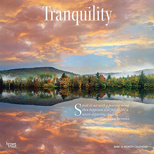 Tranquility 2020 12 x 12 Inch Monthly Square Wall Calendar, Inspiration Quotes by BrownTrout Publishers Inc.