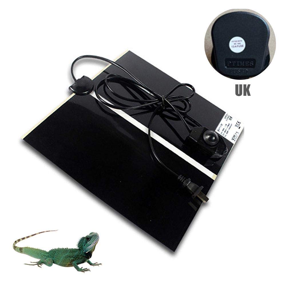 heat pad for bearded dragon
