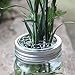 8 Pack Mason Jar Flower Frog Lid for Regular Mouth, Insert Grid Organizer for Mason, Canning Jars
