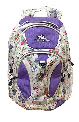 High Sierra  Laptop Backpack for 15-Inch