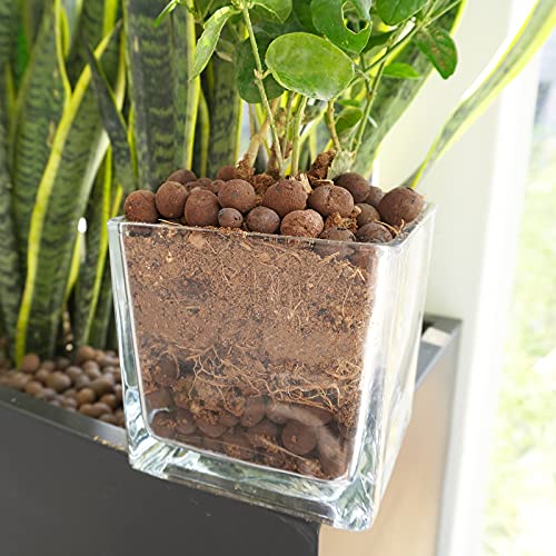 WAURHER Leca Expanded Clay Pebbles 1LB Grow Media for Indoor Plants