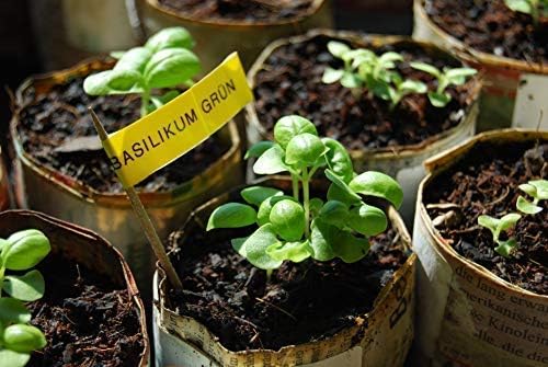 Sustrato de fibra de coco sin turba para 70 L de tierra: Amazon.es ...