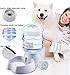 Blessed Family Cat Water Fountain, 1 Gal Pet Automatic Feeder, Easy to Use, Humanized Design, Durable Plastic Material, Recommended for Multiple Pets