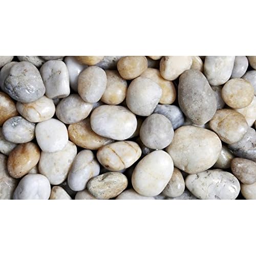 Decorative Garden Stones: Amazon.co.uk