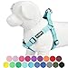 Blueberry Pet Essentials Step-in Dog Harness, Small Size | Adjustable Mint Blue Vest | Classic Solid Nylon for Boy & Girl Dogs, Chest Girth 16.5
