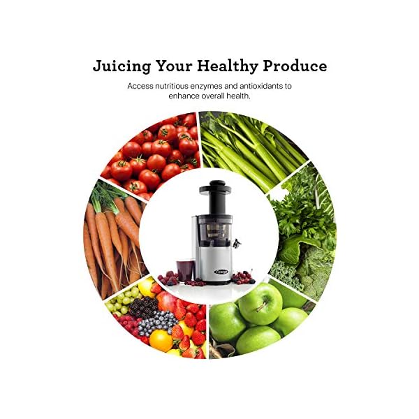 Omega Vertical Slow Masticating Juice Extractor 43 RPM Compact Design