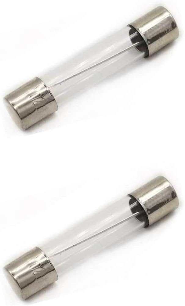 (2 Pack) XPARTCO (20AG) Microwave Replacement Fuse WB27X11138, AP4980426, PS3486694, 261201200040 for GE, Hotpoint