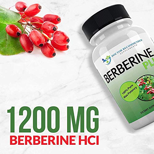 DOCTOR SUPPLEMENTS Berberine Plus 1200mg Per Serving 120