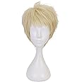 XiongXiongLe Halloween Wig Cosplay Anime Haikyuu Kei Tsukishima Role Playing Golden Costumes Hair Wig Cap for Mens Boys Christmas Weekend Party(Kei Tsukishima)