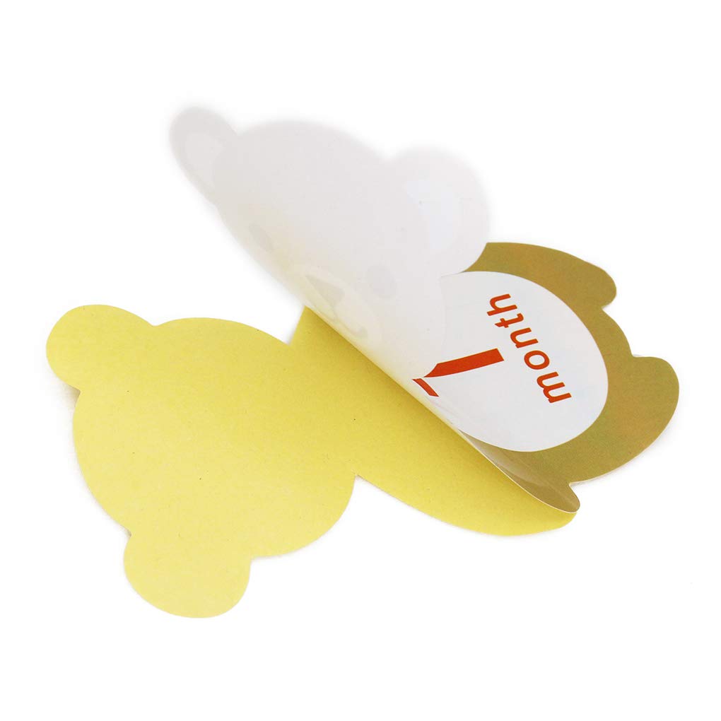 Napravi Rs Babysbreath17 12 Feuilles Mois Stickers Bebe Ventre Animal Props Photographie Du Nouveau Ne Chez Les Femmes Enceintes Du Nourrisson Cravate Autocollant 1 1 Accessoires De Decoration Ustensiles A Patisserie