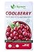 Bgreen- Organic Freeze Dried Hawthorn Berry, USDA Organic, Tea Infusion, Smoothie, Superfood