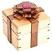 Bits and Pieces - The Elegant Ribbon Gift Box Brainteaser Puzzle - Wooden Brain Game for Adults