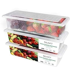 SILIVO Food Storage Containers for Fridge