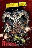 Borderlands Volume 2: The Fall of Fyrestone by Mikey Neumann, Agustin Padilla